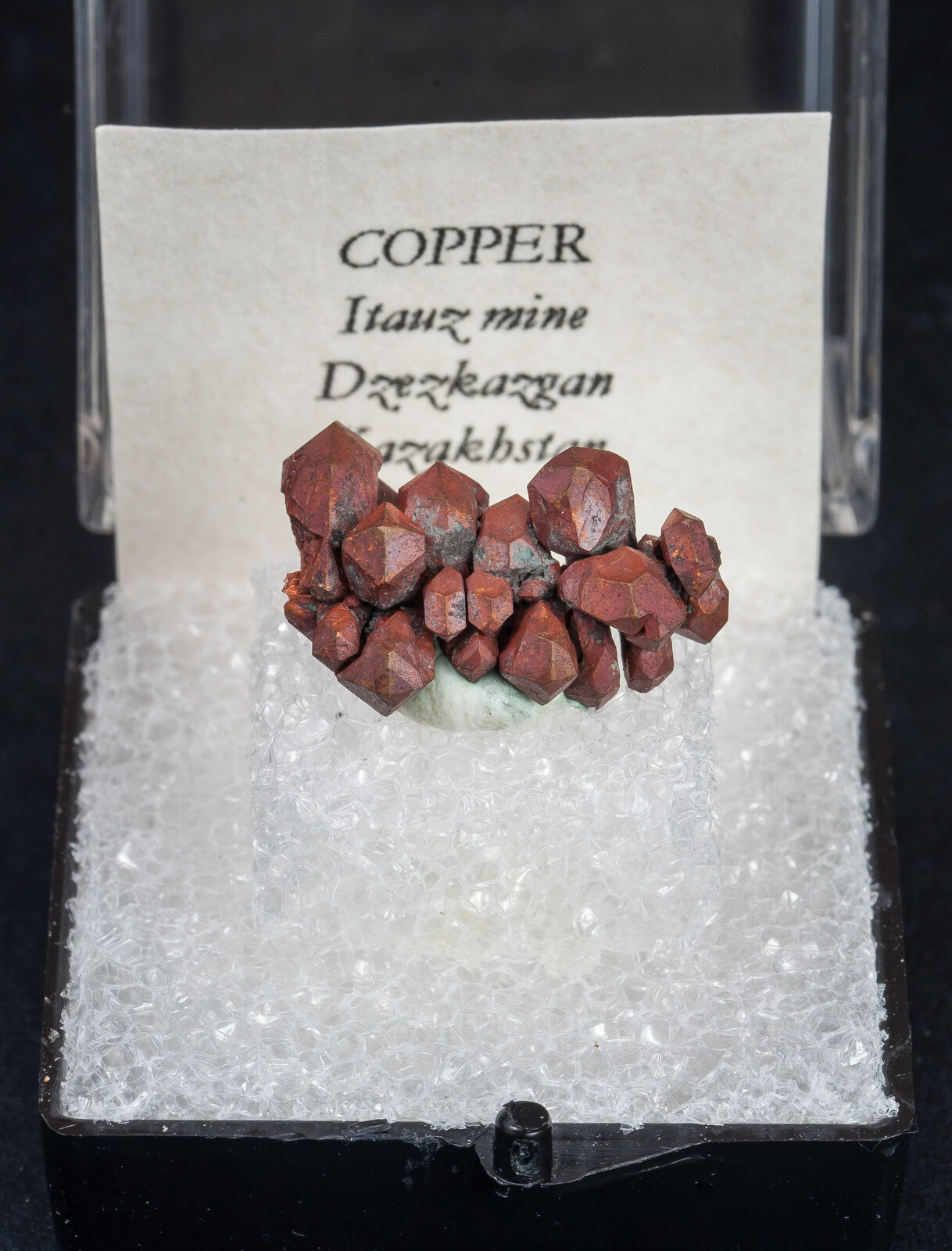 specimens/s_imagesAN3/Copper-TRN46AN3f.jpg