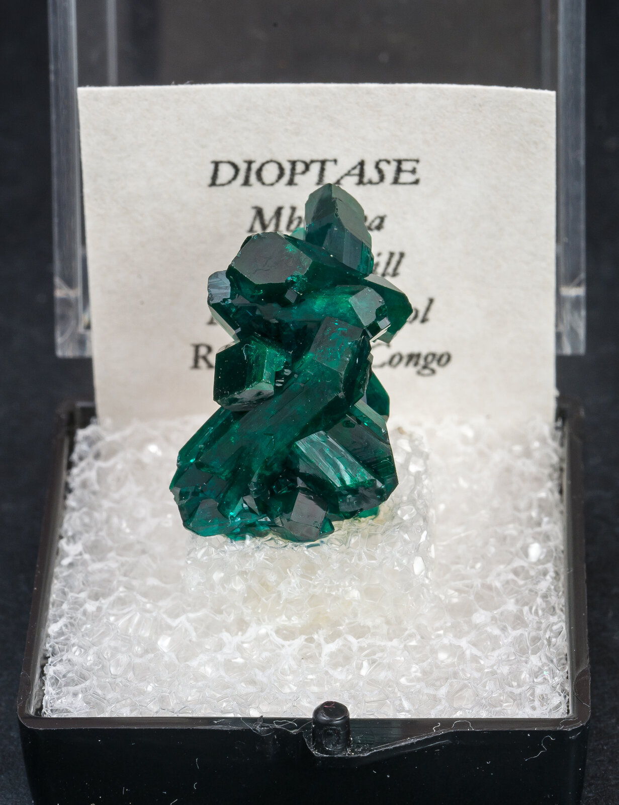 specimens/s_imagesAN3/Dioptase-TTP16AN3f1.jpg