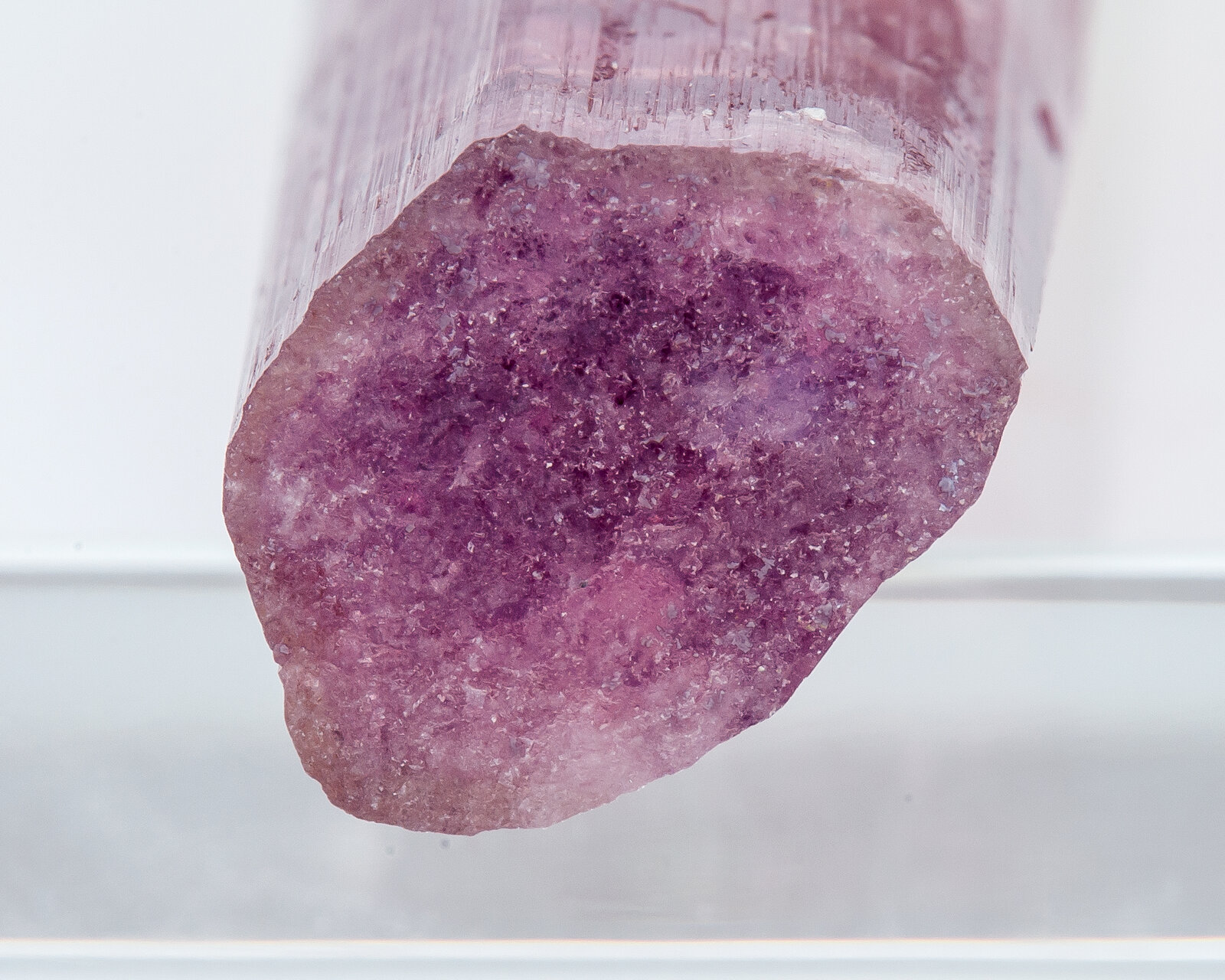 specimens/s_imagesAN3/Elbaite-TXF56AN3b.jpg