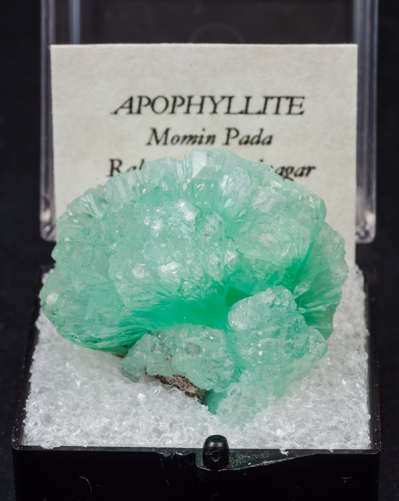 specimens/s_imagesAN3/Fluorapophyllite-TYZ62AN3f1.jpg