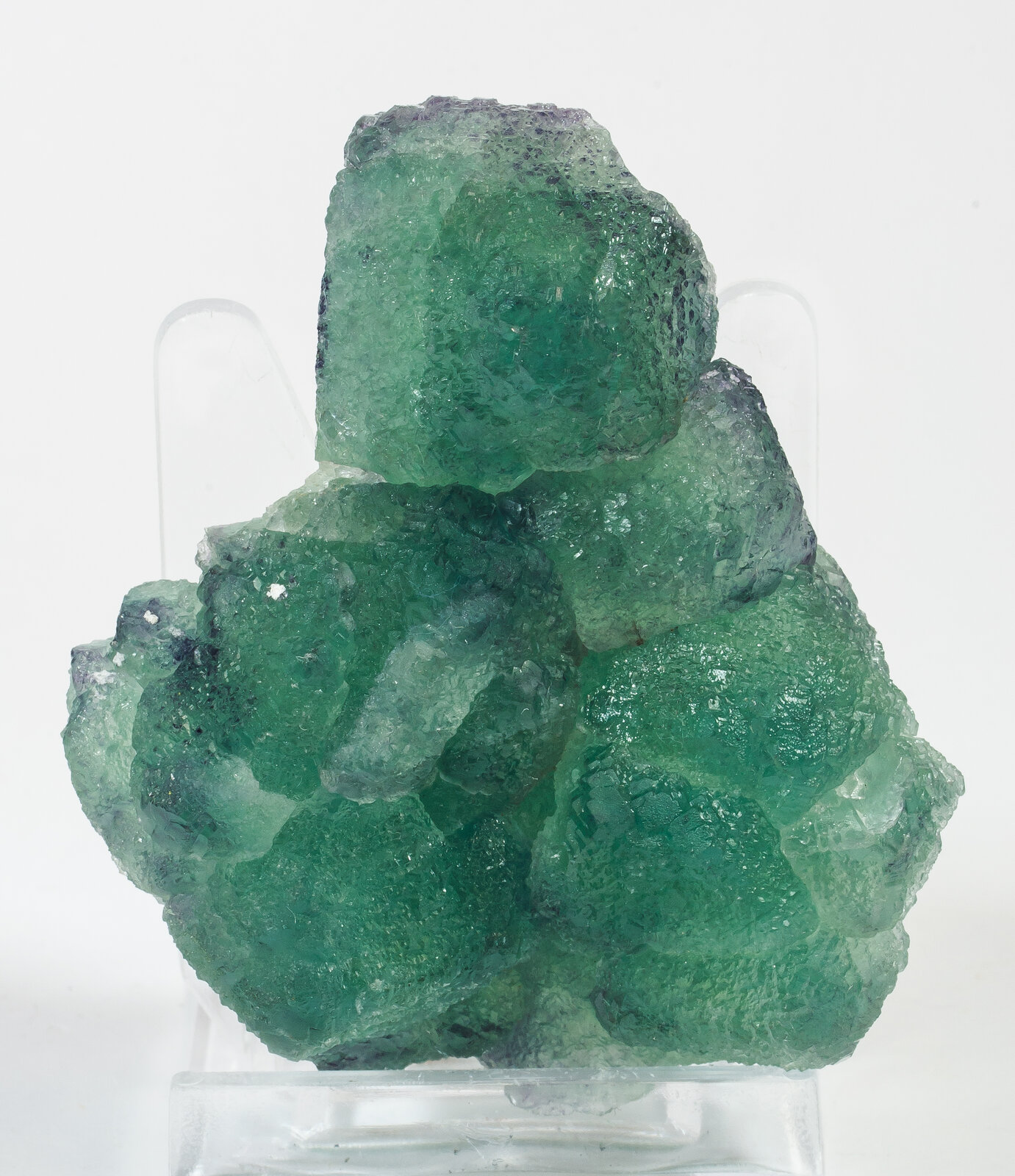 specimens/s_imagesAN3/Fluorite-TRH37AN3f.jpg