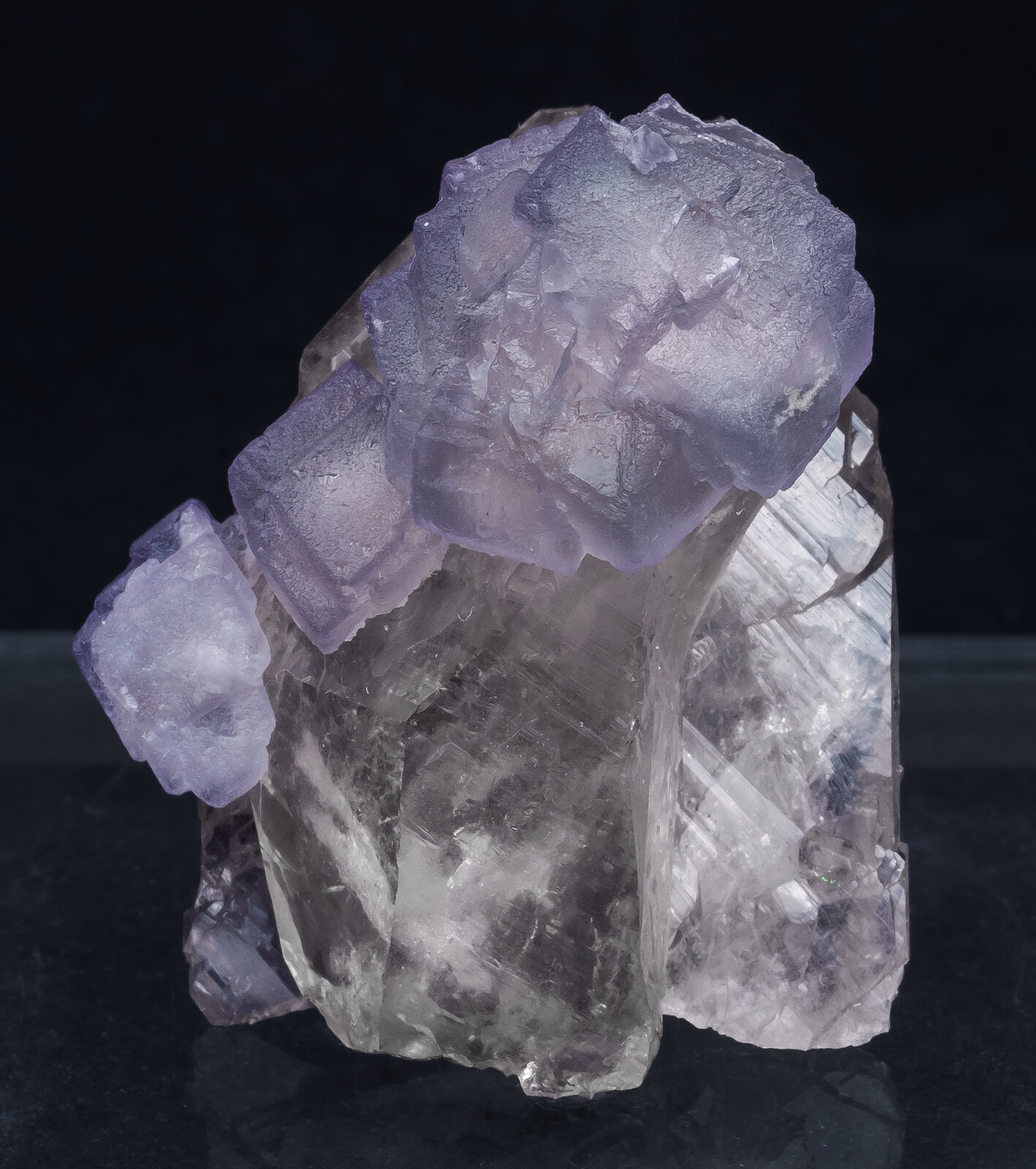 specimens/s_imagesAN3/Fluorite-TXM27AN3f.jpg