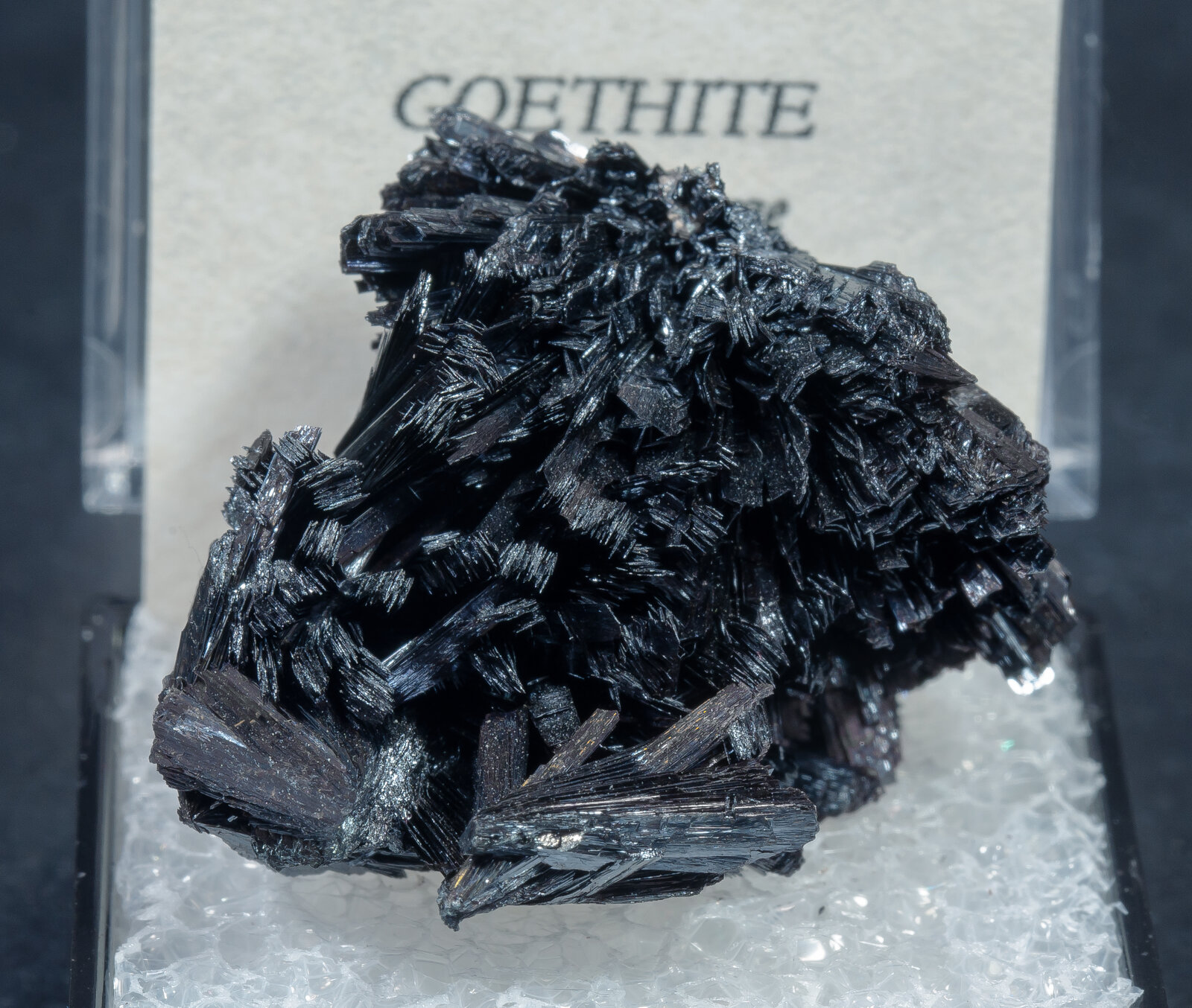 specimens/s_imagesAN3/Goethite-TDD63AN3f2.jpg