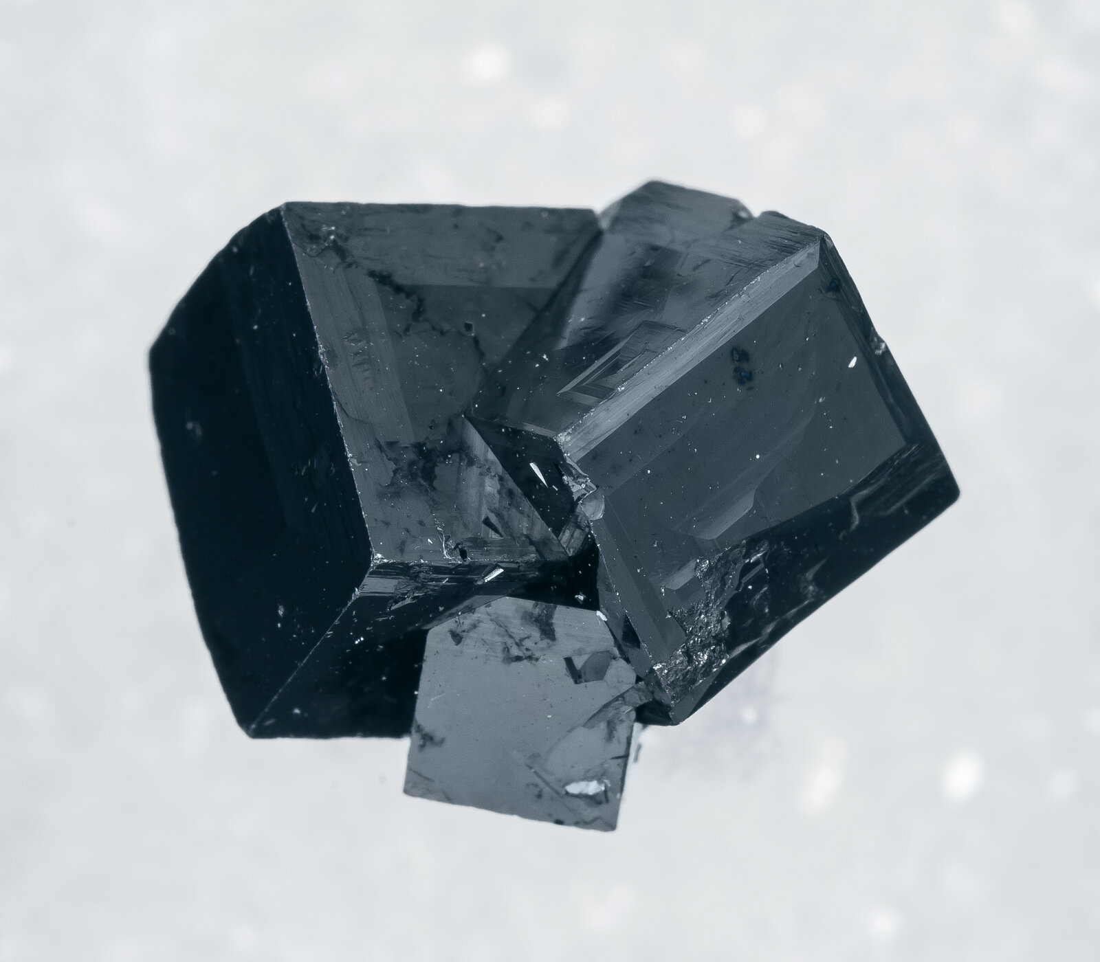 specimens/s_imagesAN3/Magnetite-TEE16AN3t.jpg