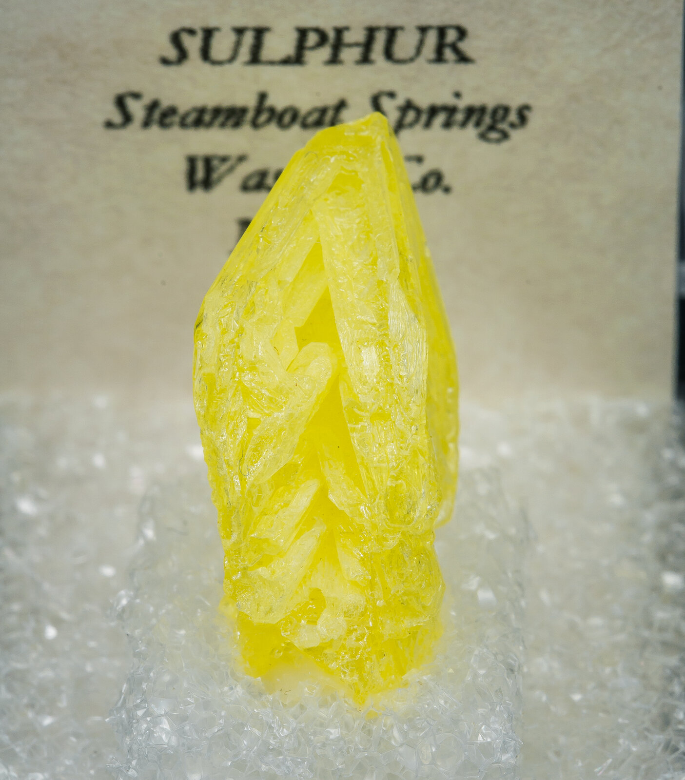 specimens/s_imagesAN3/Sulphur-TFF12AN3f2.jpg