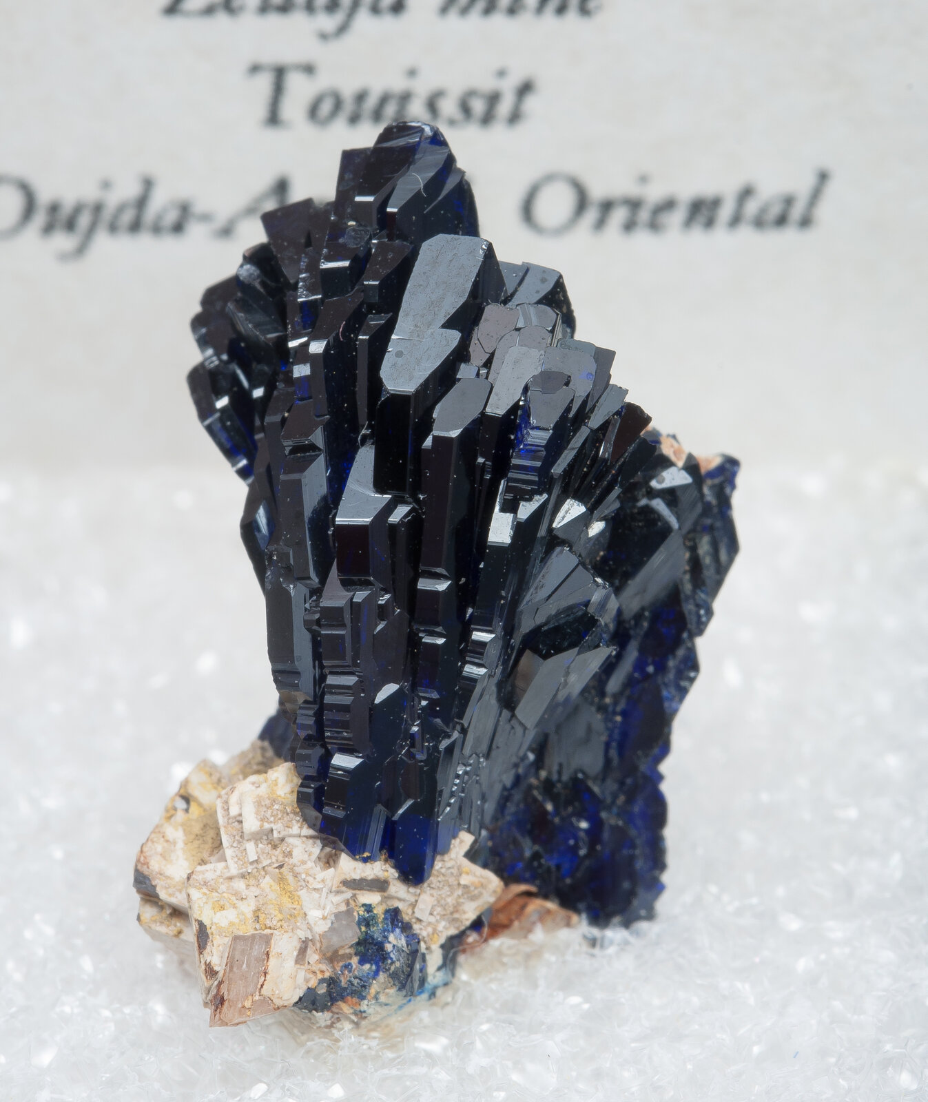 specimens/s_imagesAN4/Azurite-TJR64AN4f2.jpg