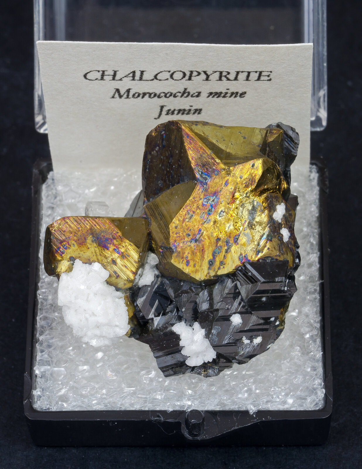 specimens/s_imagesAN4/Chalcopyrite-TTF6AN4f1.jpg