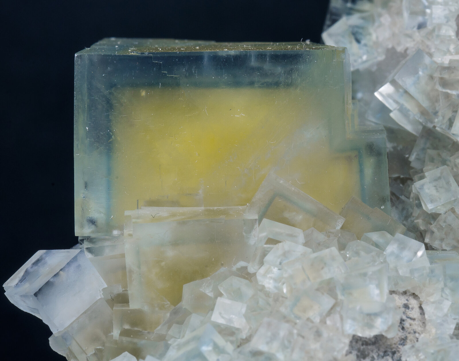 specimens/s_imagesAN4/Fluorite-TRA70AN4d1.jpg