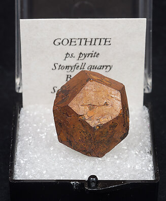 Goethite after Pyrite. 