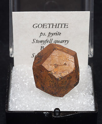 Goethite after Pyrite.