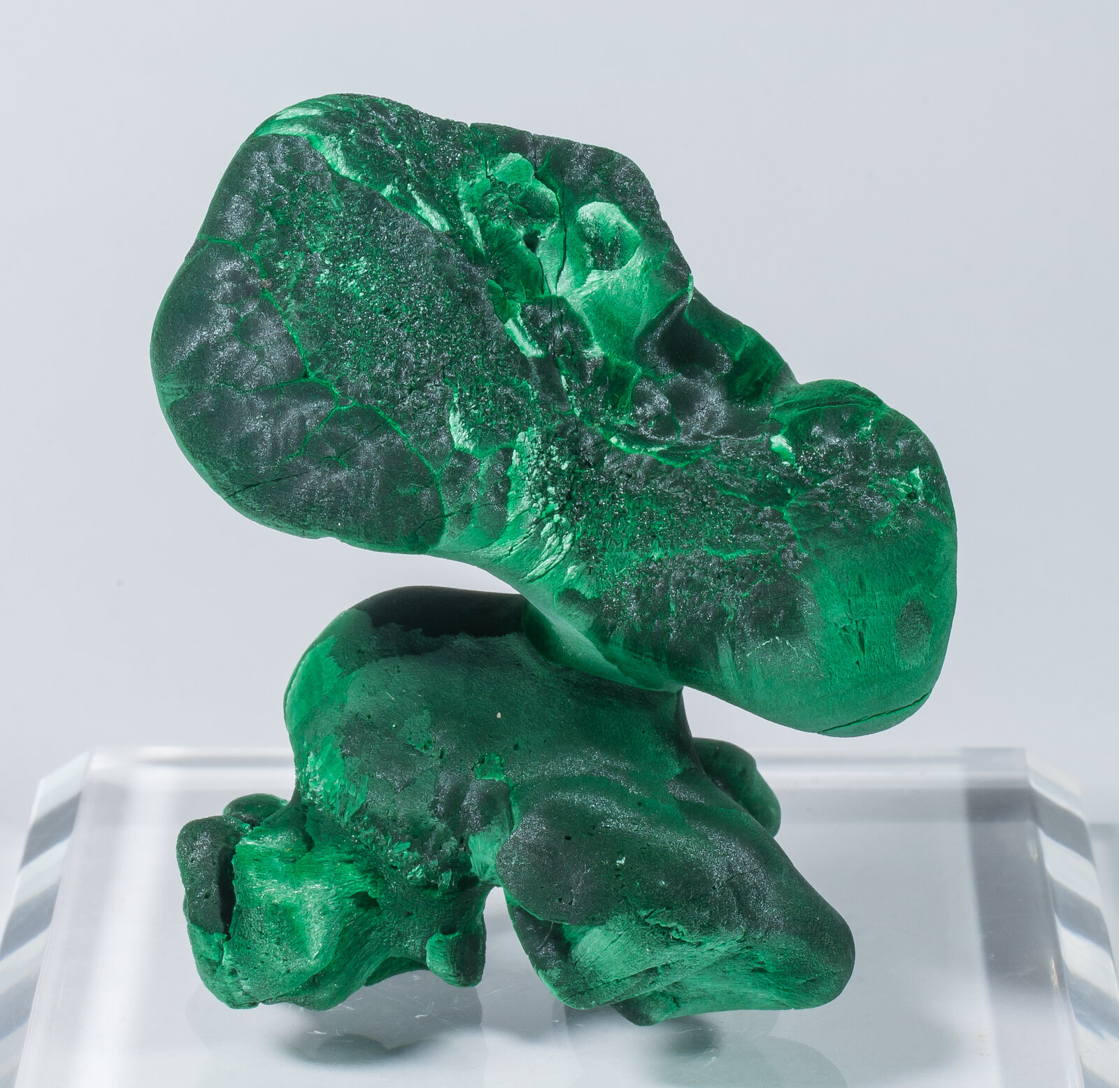 specimens/s_imagesAN4/Malachite-TMR96AN4r.jpg