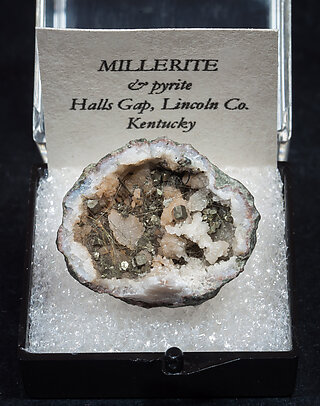 Millerite with Pyrite.