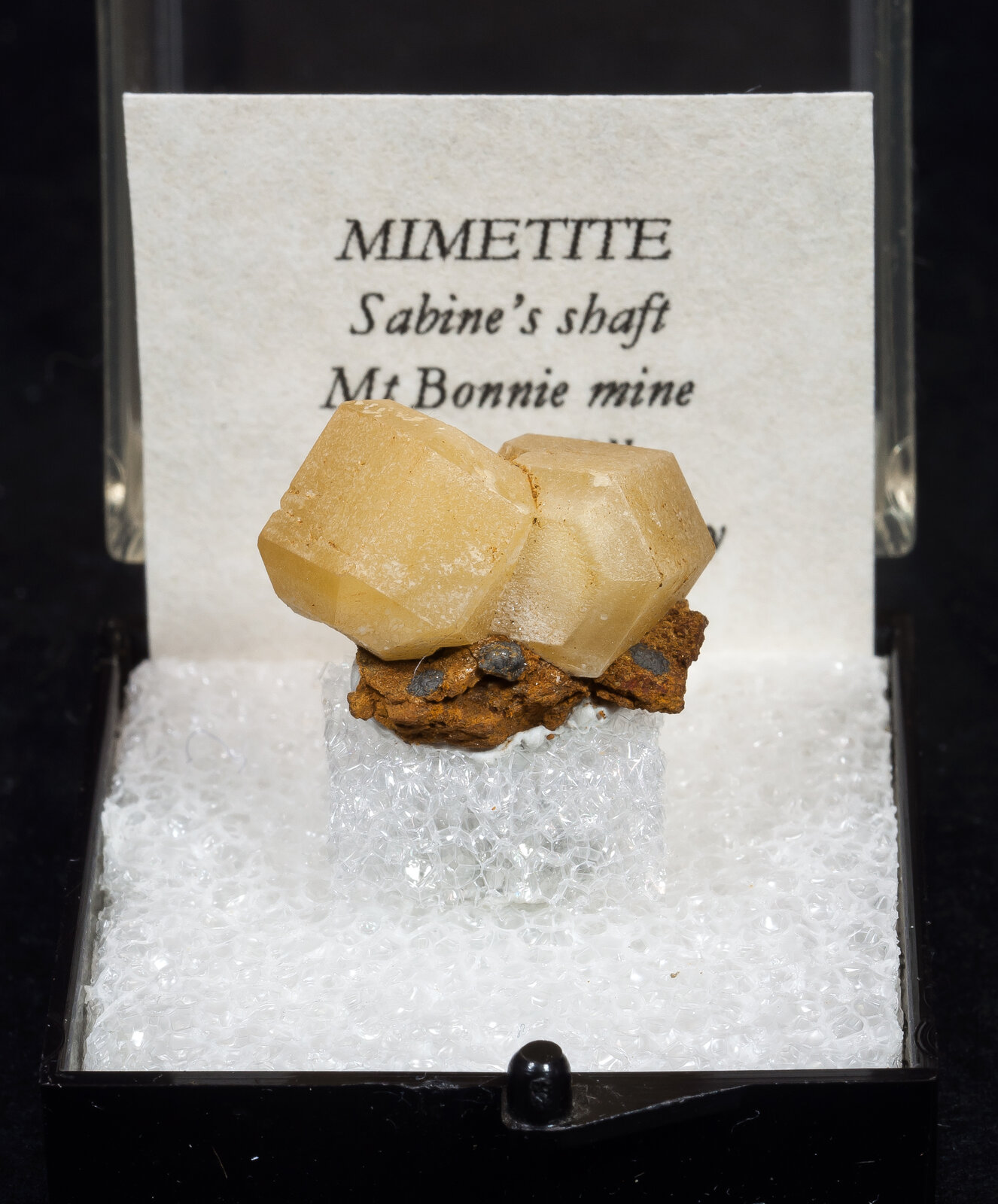 specimens/s_imagesAN4/Mimetite-TAF16AN4f1.jpg