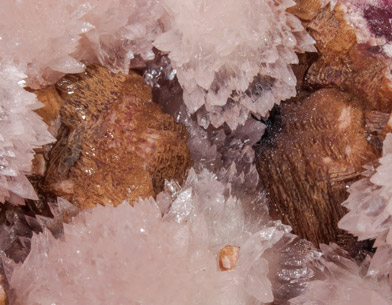 Anorthoroselite on Calcite. 