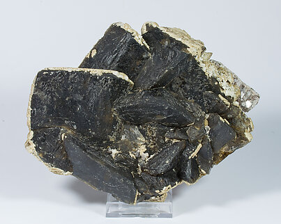 Siderite with Muscovite. 