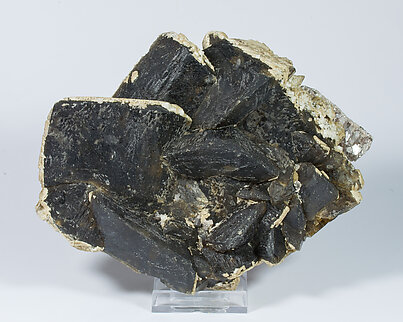 Siderite with Muscovite.