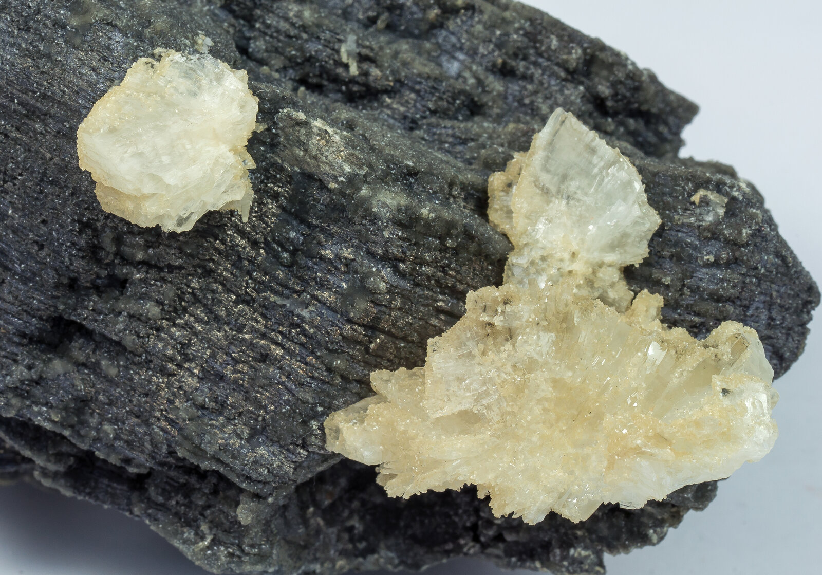 specimens/s_imagesAN5/Baryte-JFD13AN5d.jpg