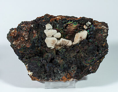 Cerussite after Anglesite on Goethite. 