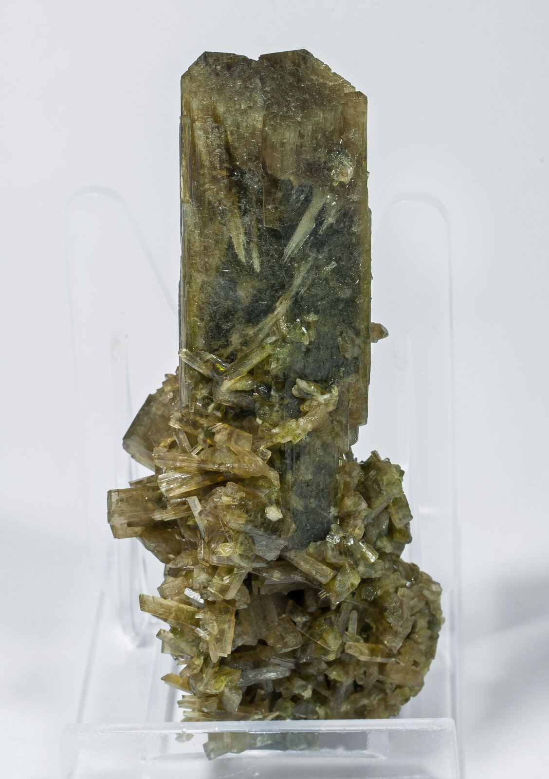 specimens/s_imagesAN5/Clinozoisite-TRP49AN5r.jpg