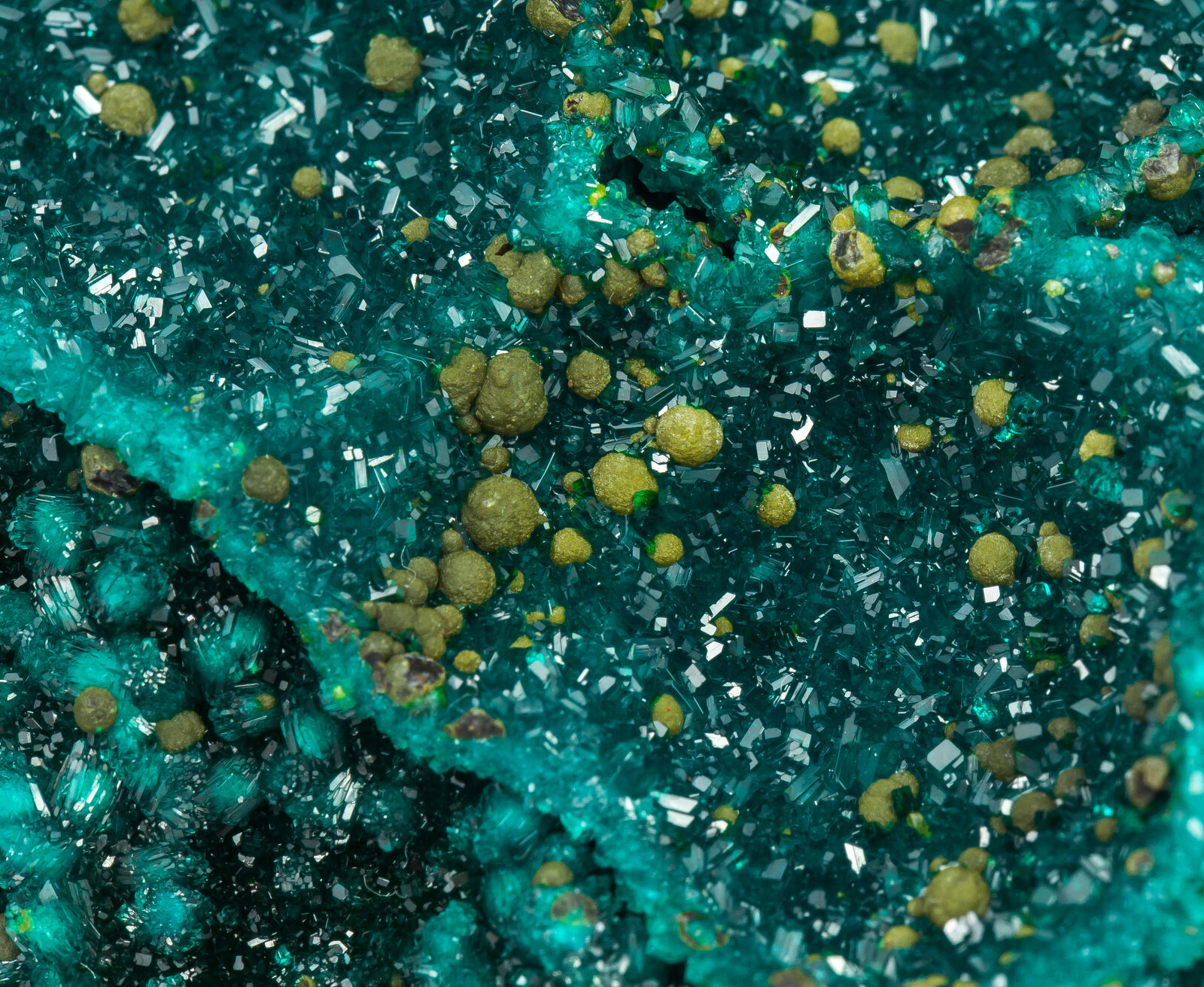 specimens/s_imagesAN5/Dioptase-TFB92AN5d1.jpg