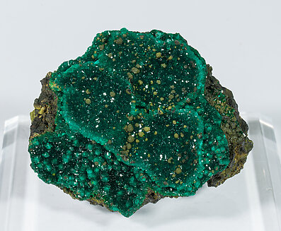 Dioptase with Duftite. 
