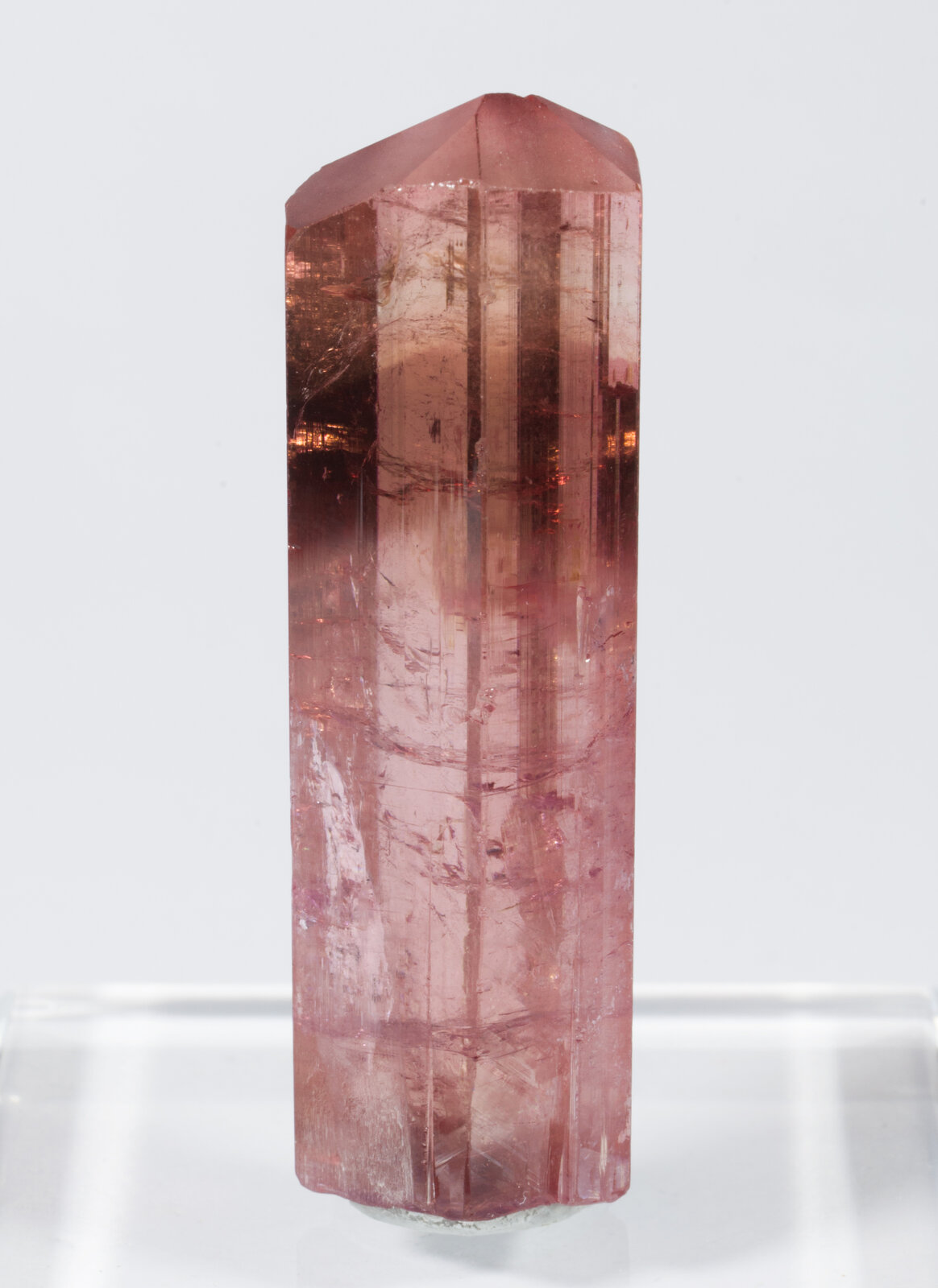 specimens/s_imagesAN5/Elbaite-TMA56AN5f.jpg