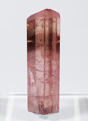 Elbaite (variety rubellite).