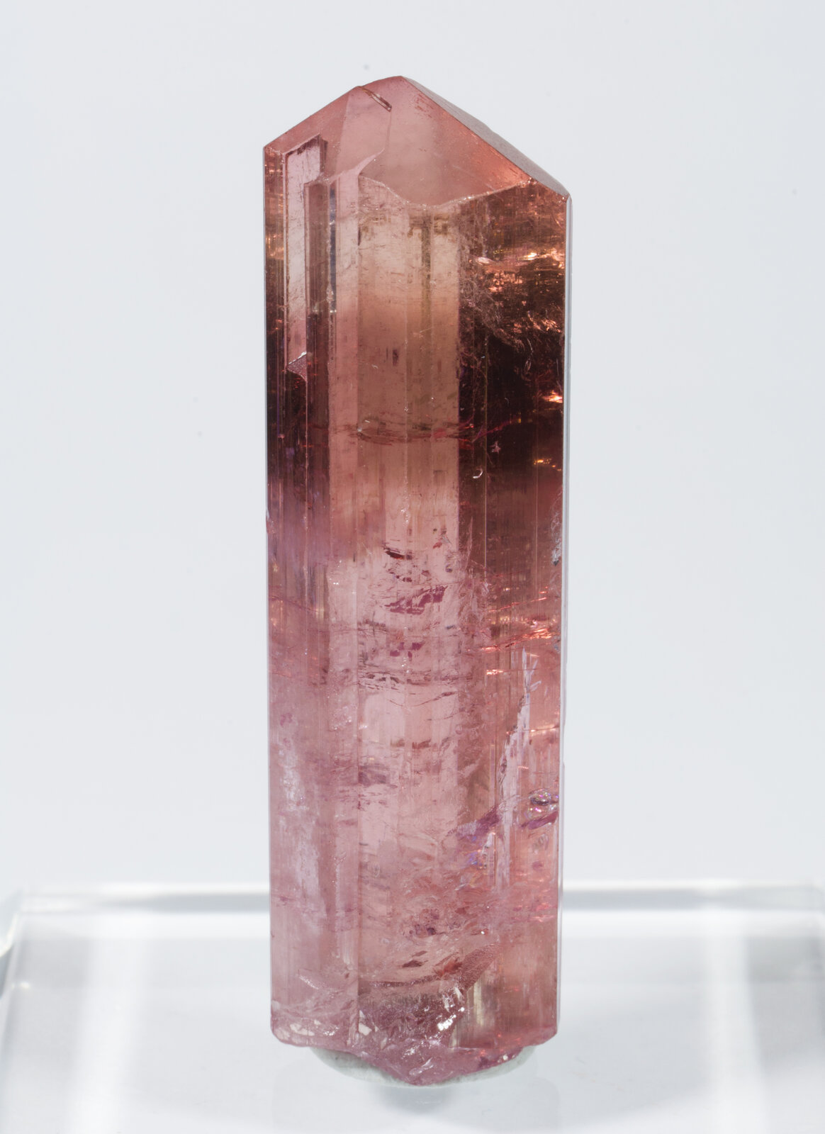 specimens/s_imagesAN5/Elbaite-TMA56AN5r.jpg