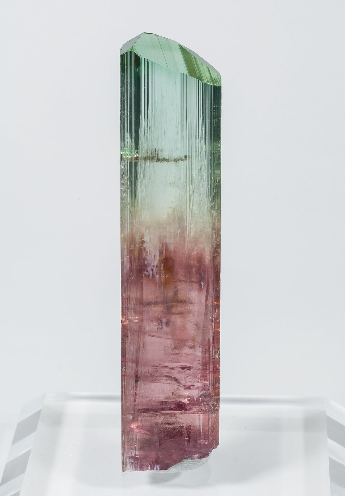 specimens/s_imagesAN5/Elbaite-TZR86AN5f.jpg