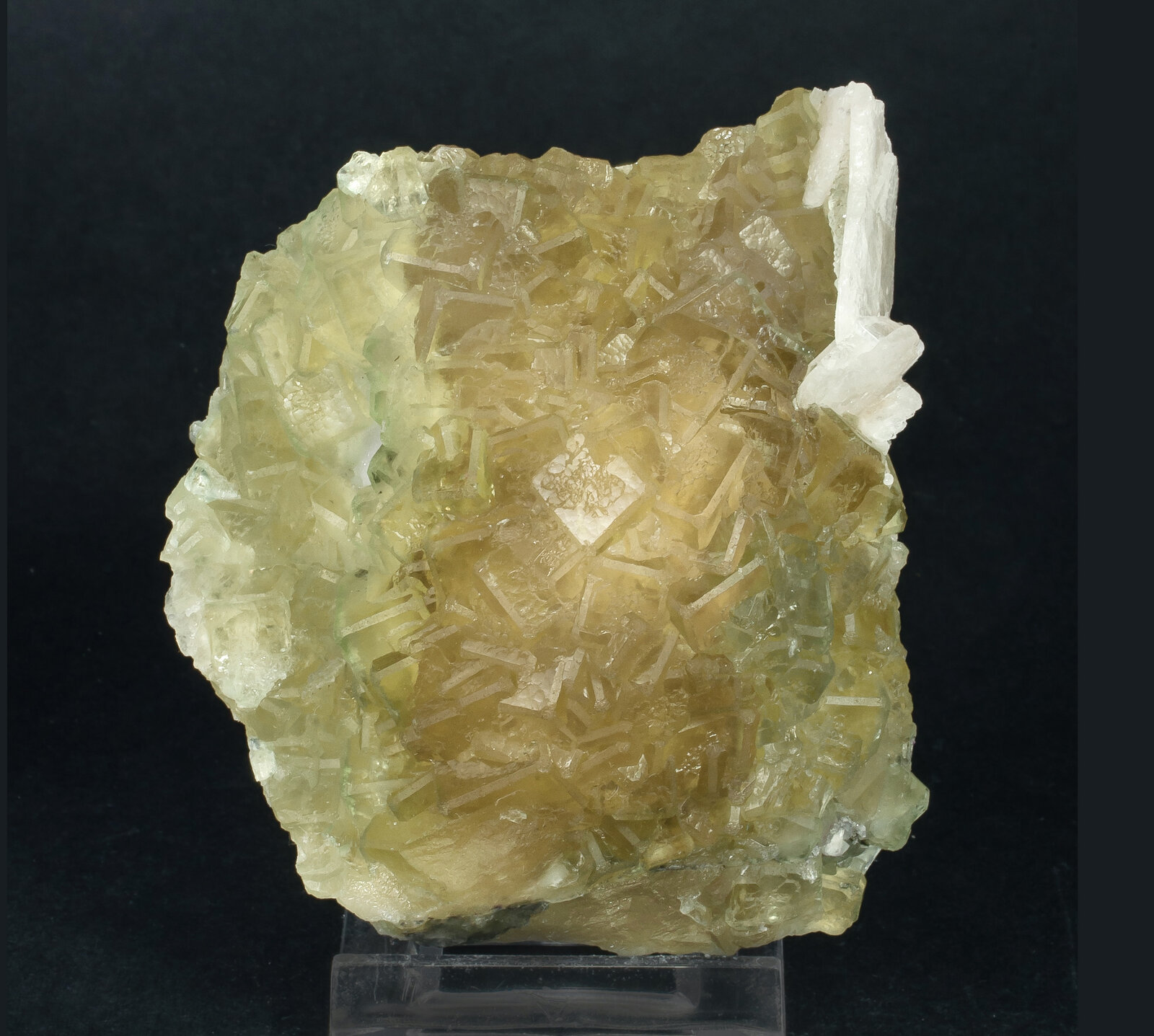 specimens/s_imagesAN5/Fluorite-EFG37AN5s.jpg