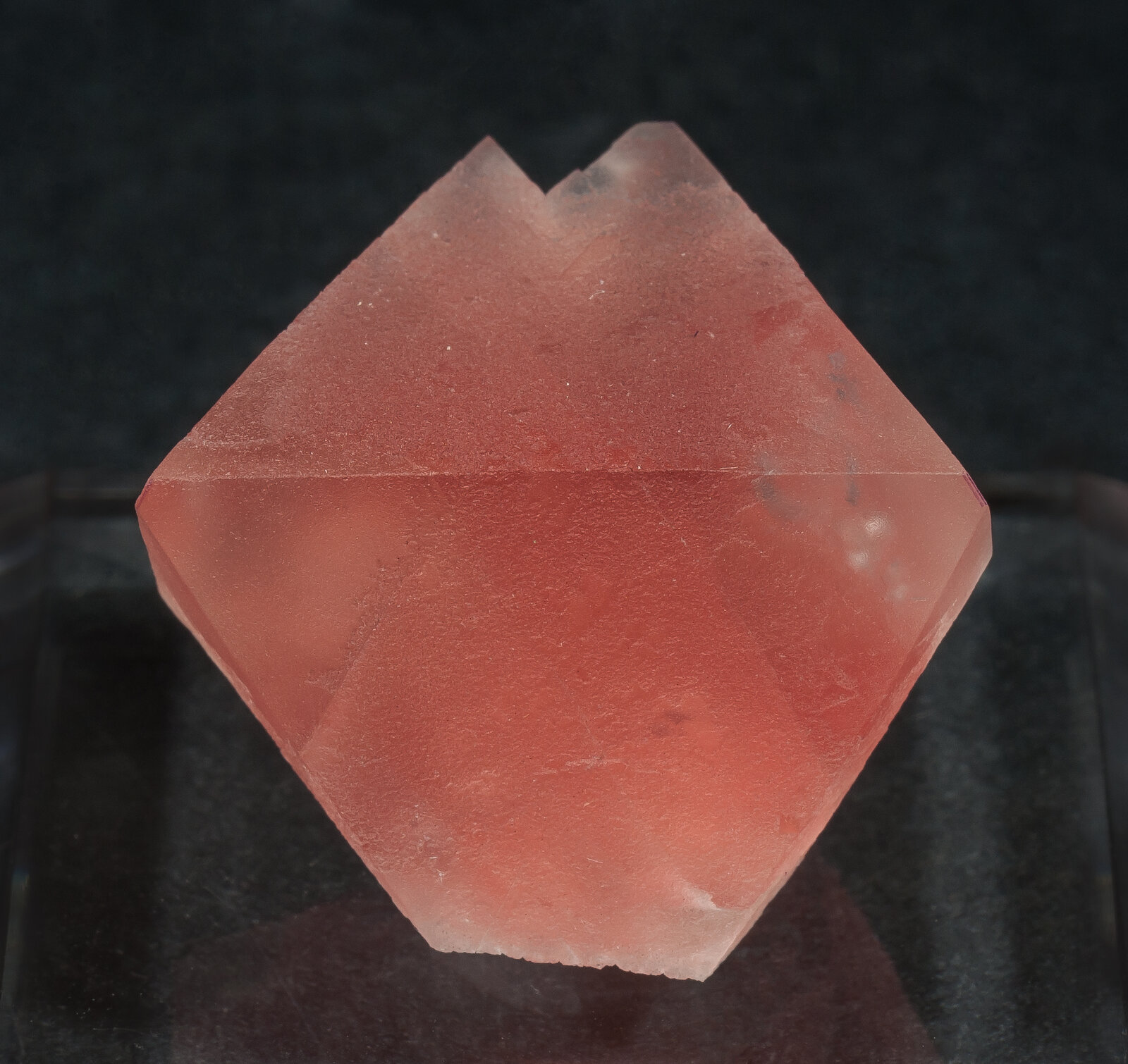 specimens/s_imagesAN5/Fluorite-EFG90AN5f.jpg