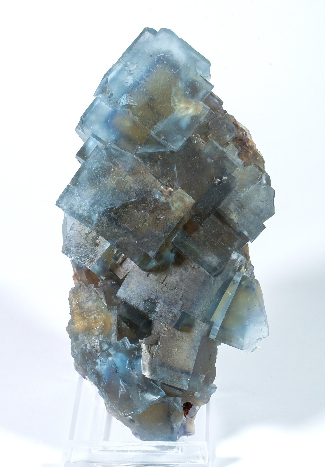 specimens/s_imagesAN5/Fluorite-EFM91AN5s.jpg