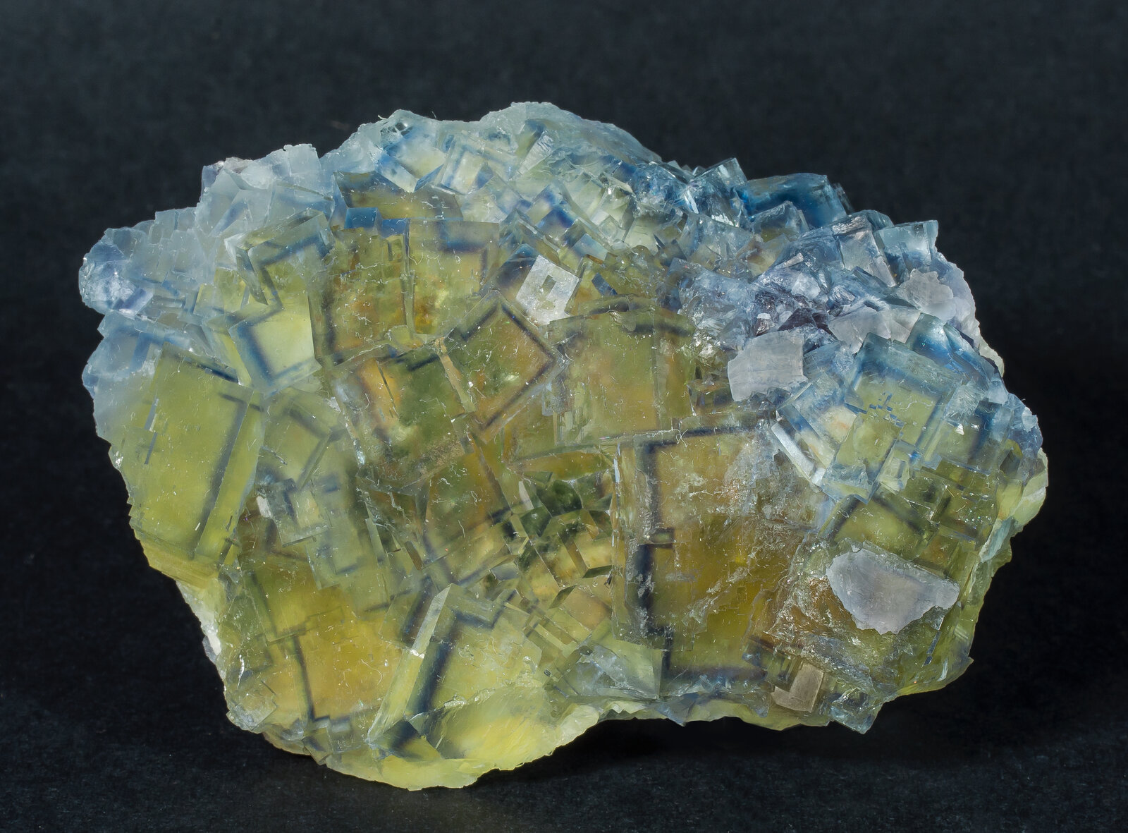 specimens/s_imagesAN5/Fluorite-EPF69AN5f.jpg