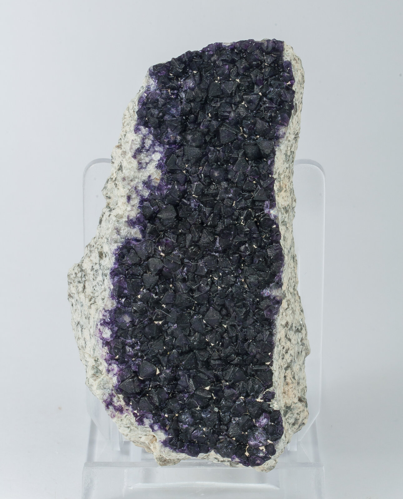 specimens/s_imagesAN5/Fluorite-JFD10AN5f.jpg