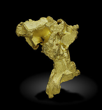 Gold. Front / Photo: Joaquim Callén