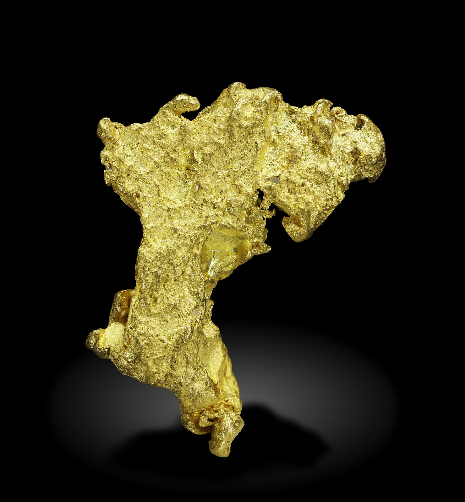 specimens/s_imagesAN5/Gold-ERA97AN5_9634_r.jpg