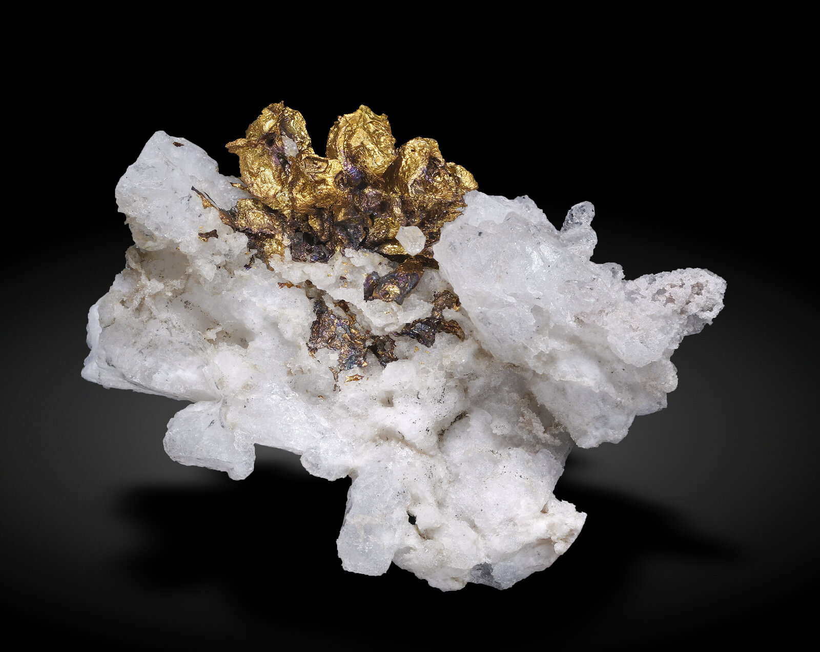 specimens/s_imagesAN5/Gold-TFG94AN5_9223_r.jpg