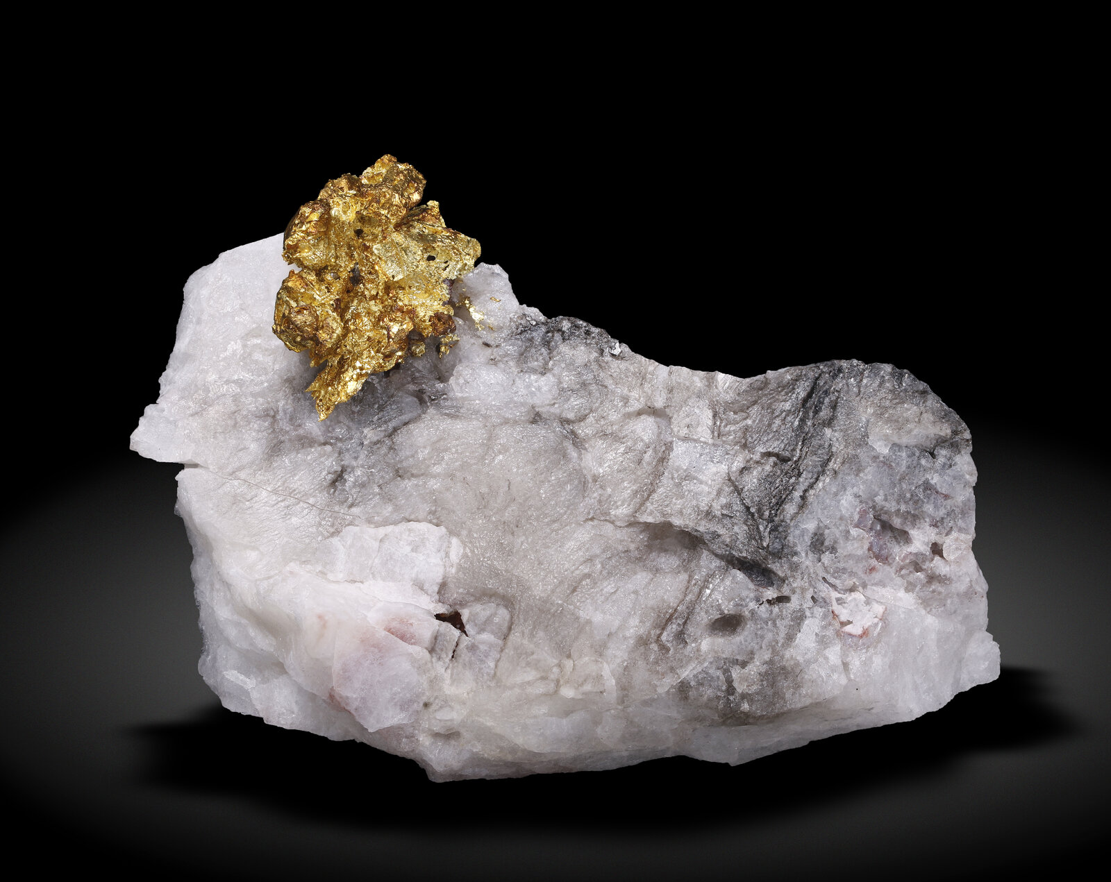 specimens/s_imagesAN5/Gold-TGJ16AN5_9282_f.jpg