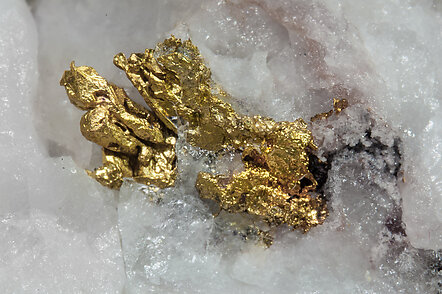 Oro en Cuarzo. 