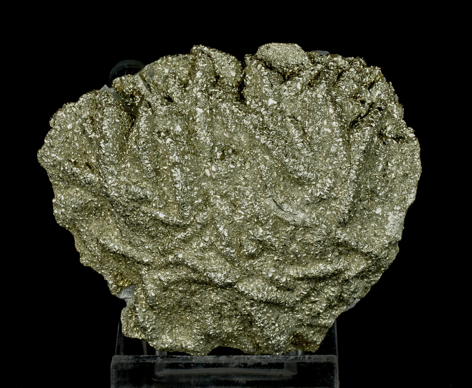 specimens/s_imagesAN5/Pyrite-EMR46AN5f.jpg