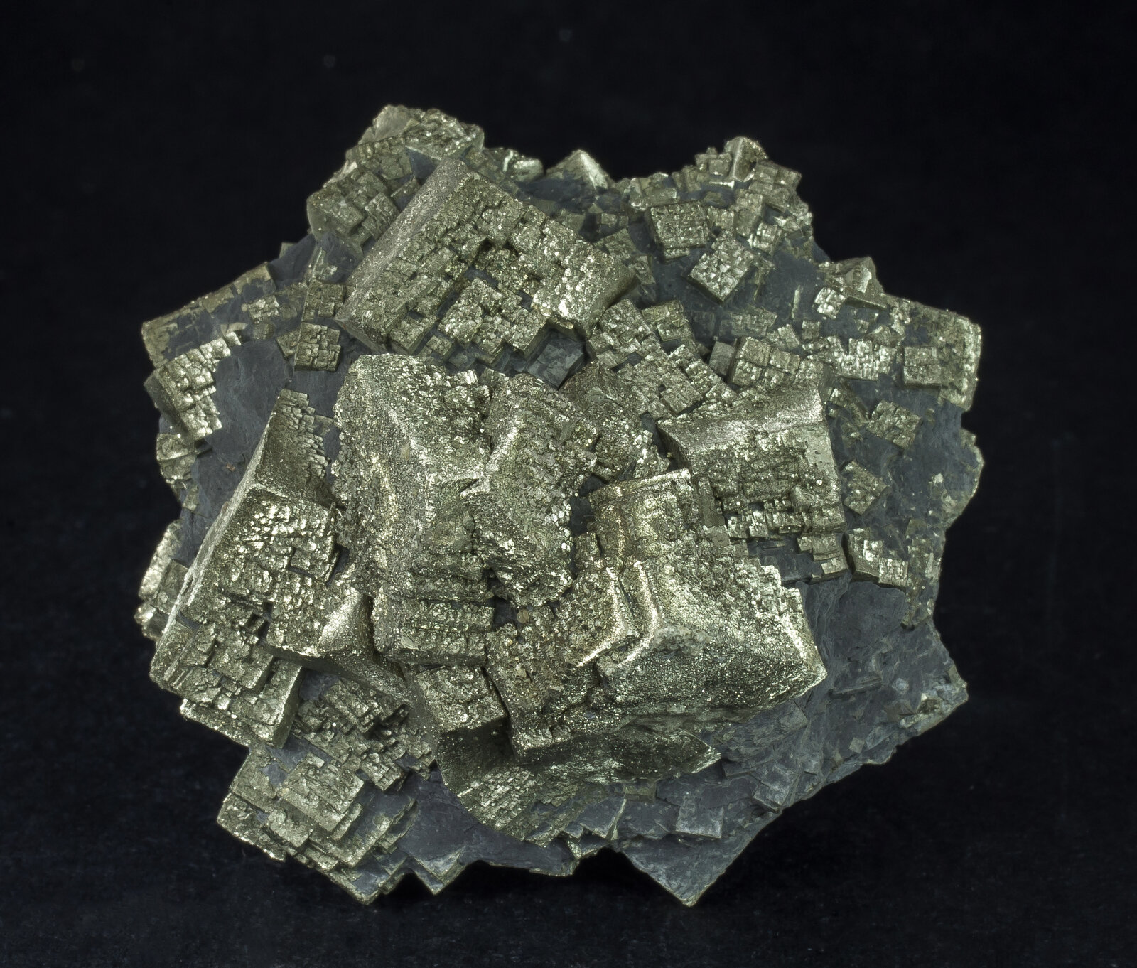 specimens/s_imagesAN5/Pyrite-EPC46AN5f.jpg