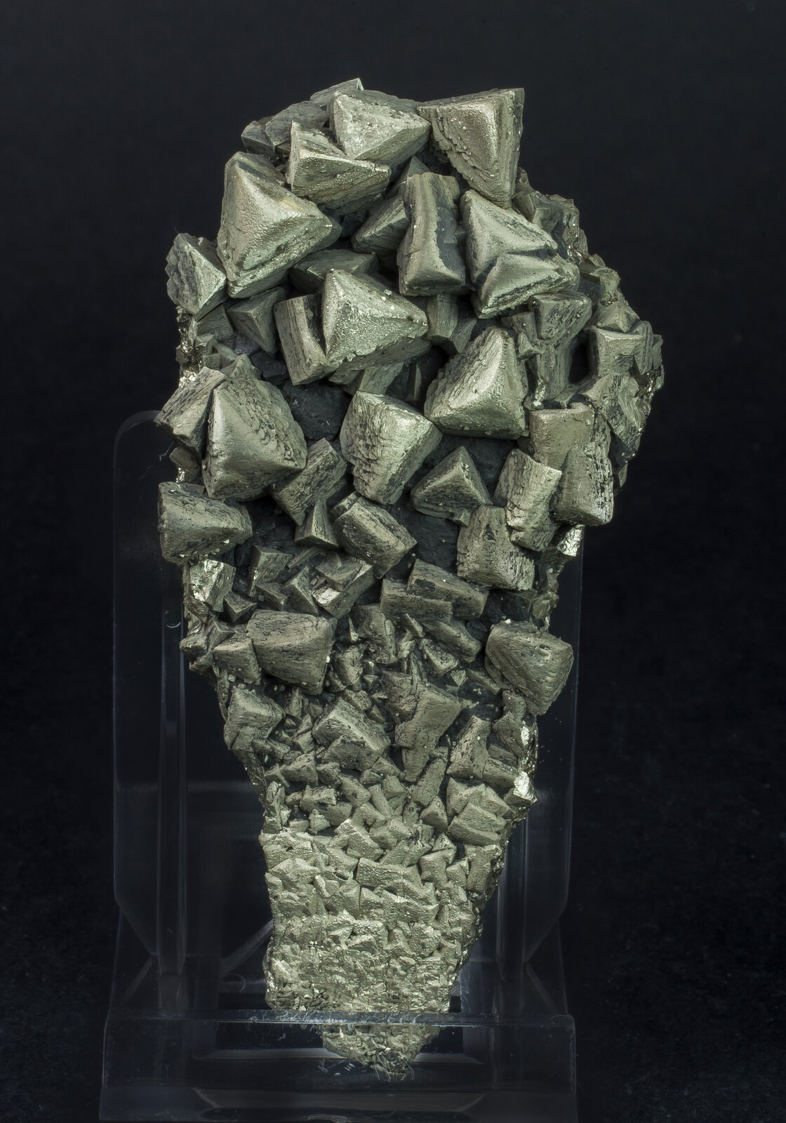 specimens/s_imagesAN5/Pyrite-EVA96AN5f.jpg