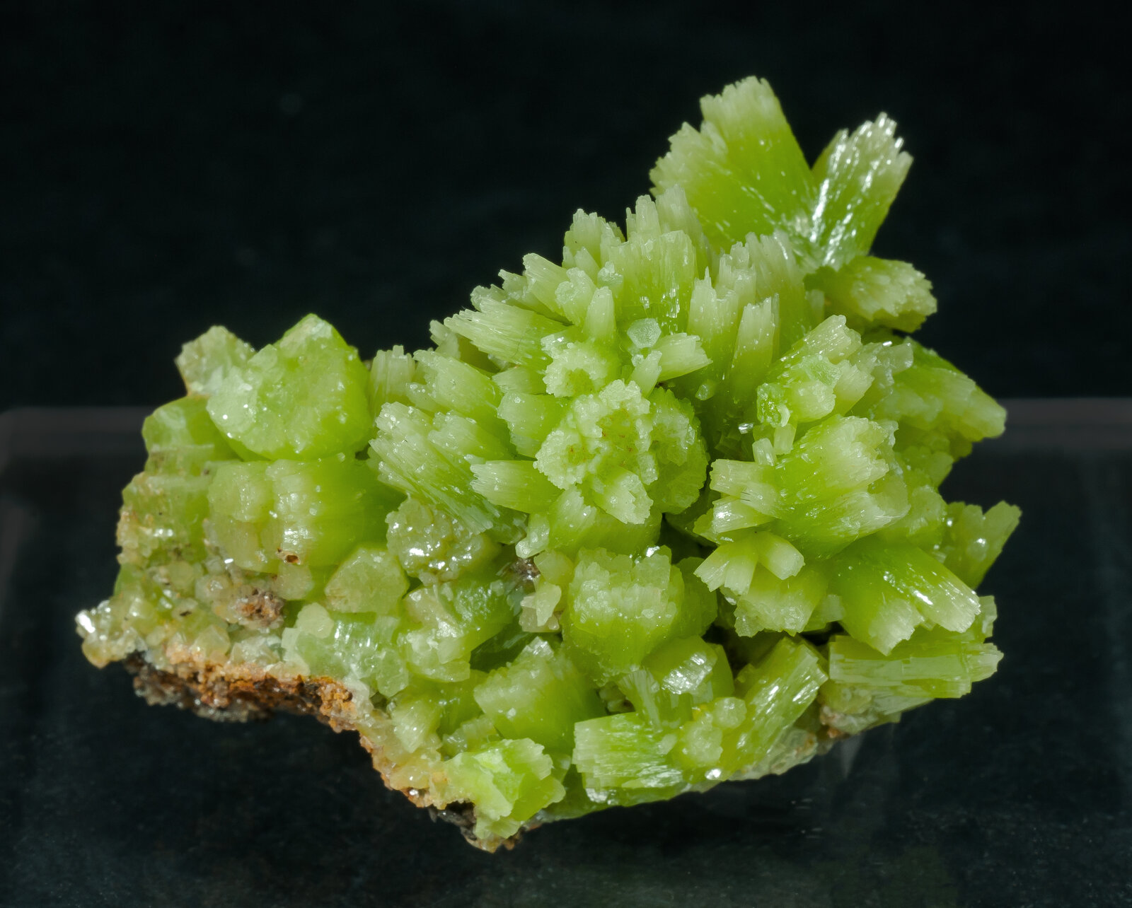 specimens/s_imagesAN5/Pyromorphite-JFD02AN5f2.jpg