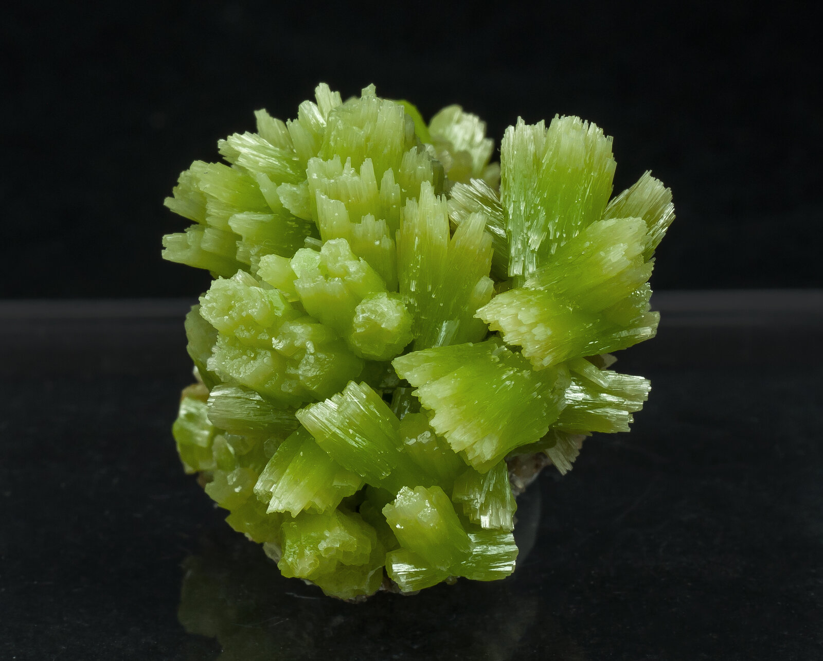 specimens/s_imagesAN5/Pyromorphite-JFD02AN5s.jpg