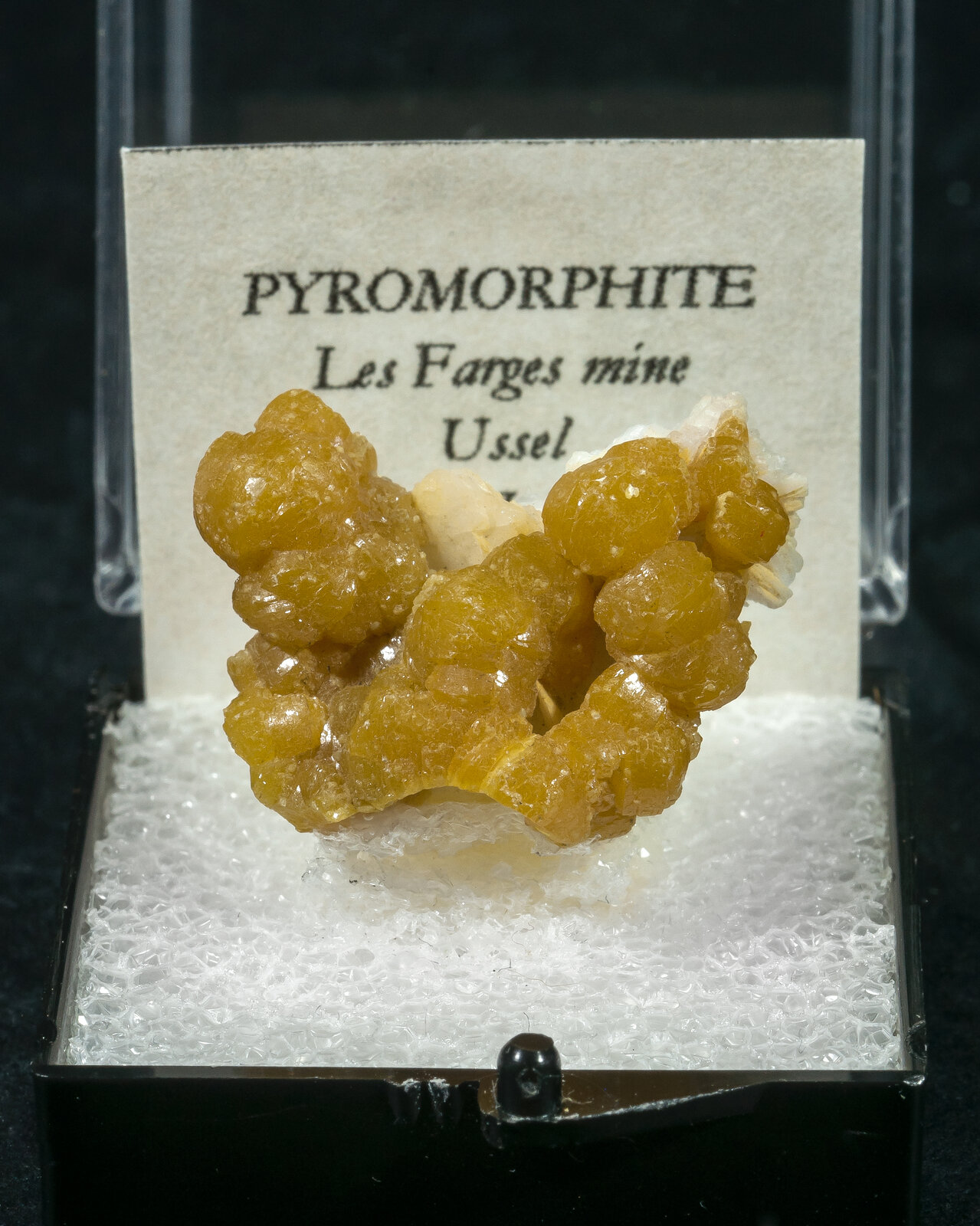 specimens/s_imagesAN5/Pyromorphite-TTV86AN5f1.jpg