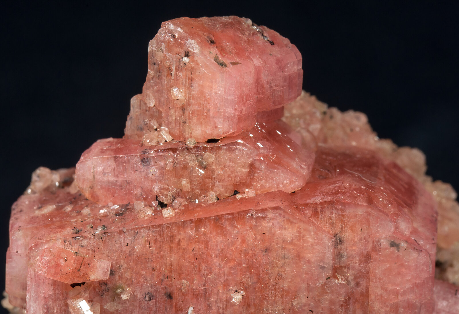 specimens/s_imagesAN5/Serandite-EAM60AN5d.jpg