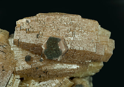 Vanadinite (variety arsenic-bearing vanadinite) with Mottramite. 