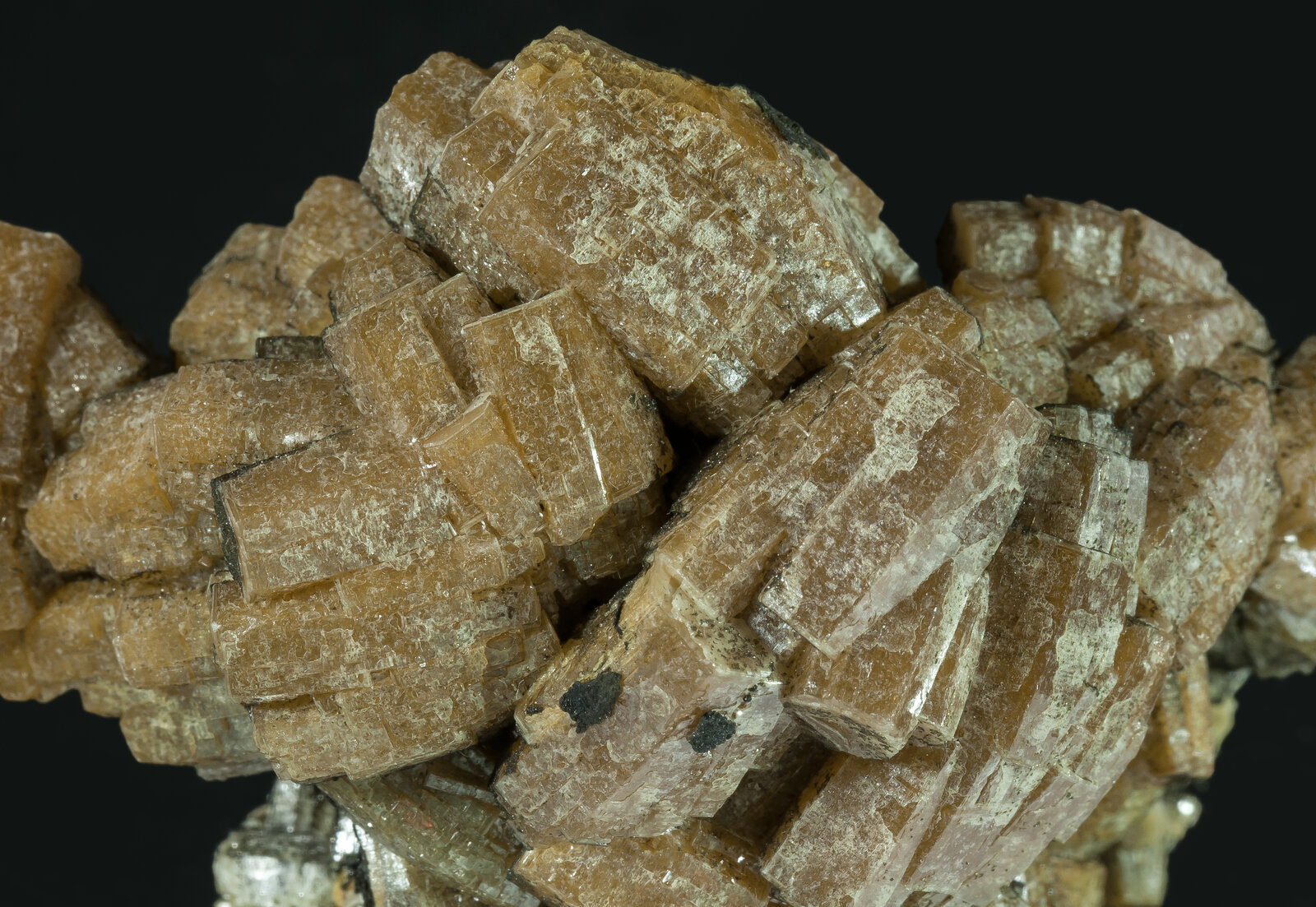 specimens/s_imagesAN5/Vanadinite-EXB67AN5d.jpg