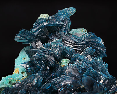 Veszelyite with Theisite. Detail / Photo: Joaquim Callén