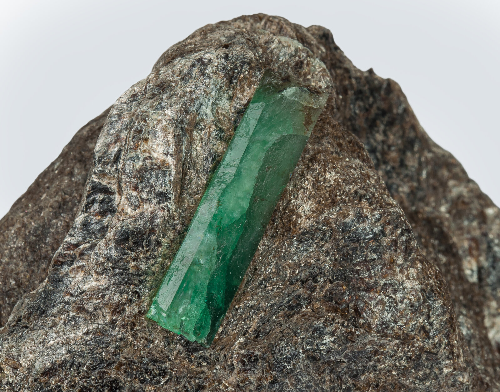 specimens/s_imagesAN6/Breryl_emerald-TRZ97AN6d.jpg